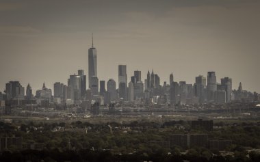 Lower manhattan (kahverengi orman)