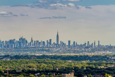 Midtown Manhattan'da bir orman