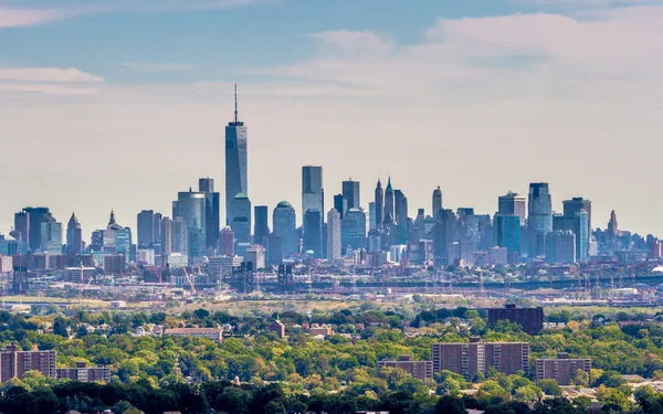 Lower Manhattan in a Forest — Stock Photo, Image