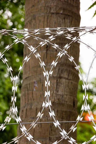 Barbed Tape — Stock Photo, Image