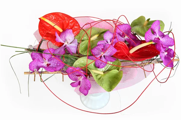Composition with orchids and florist anthurium — Stock Photo, Image