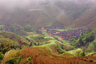 jinkeng hongyao rice teraslar manzara alanı.