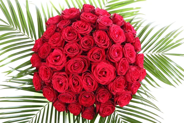 A huge bouquet of red roses. The isolated image on a white background. — Stock Photo, Image