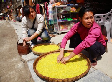pirinç bir sokak zhaoxing dong köyüne Dong etnik kadınlar tedavi. Sarı pirinç büyük hasır sepetleri bulunur. zhaoxing town, liping İlçesi, guizhou, Çin.