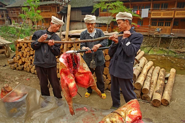 Campesinos asiáticos, granjeros, cerdo pesado sobre balanzas chinas . — Foto de Stock