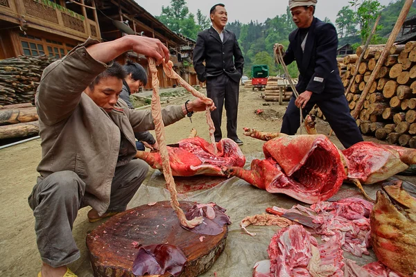 Asiáticos, camponeses chineses, agricultores, porcos eviscerantes na rua da aldeia — Fotografia de Stock