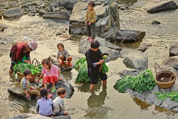 Asian with children, washed greens in a rural river. — Stock Photo, Image