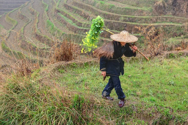 Азиатский фермер в традиционной китайской шляпе, среди рисовых террас — стоковое фото
