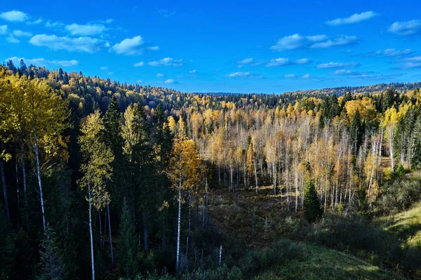 Vista dall'alto sulla foresta durante l'autunno. — Foto Stock