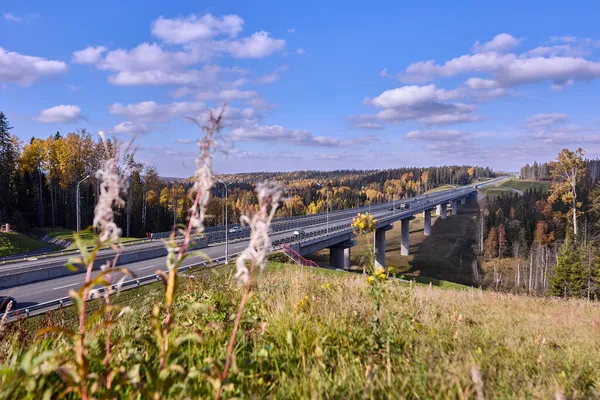 Autobahnbrücke auf Schnellstraße durch russischen Wald. — Stockfoto