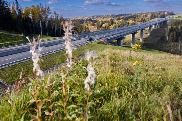 Expressway in Russia, overpass bridge over forest stream. — Stock Photo, Image