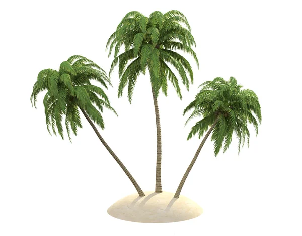 Palmiye ağaçları ile ada - Stok İmaj