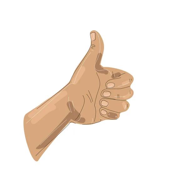 Vector thumbs up illustration drawing in sketch style isolated on white background — Stock Vector