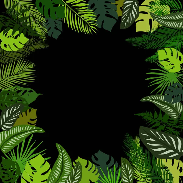 Feuilles tropicales cadre d'été, feuilles de palmier tropical fond d'écran, feuilles tropicales sur fond noir. — Image vectorielle