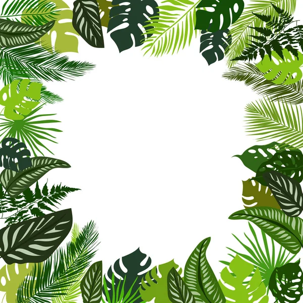 Cadre coloré de feuilles tropicales vertes dans un beau style sur fond blanc. — Image vectorielle