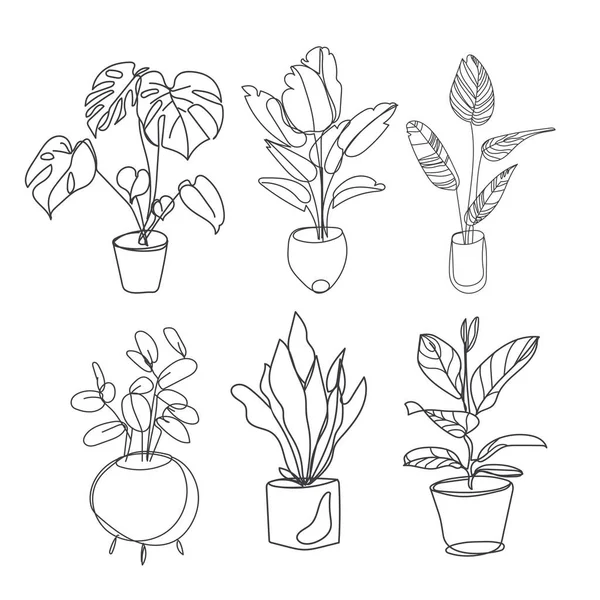 Krukväxter. Vektor uppsättning skissera växter i krukor. Inomhus exotiska blommor med stjälkar och blad för hem och interiör — Stock vektor