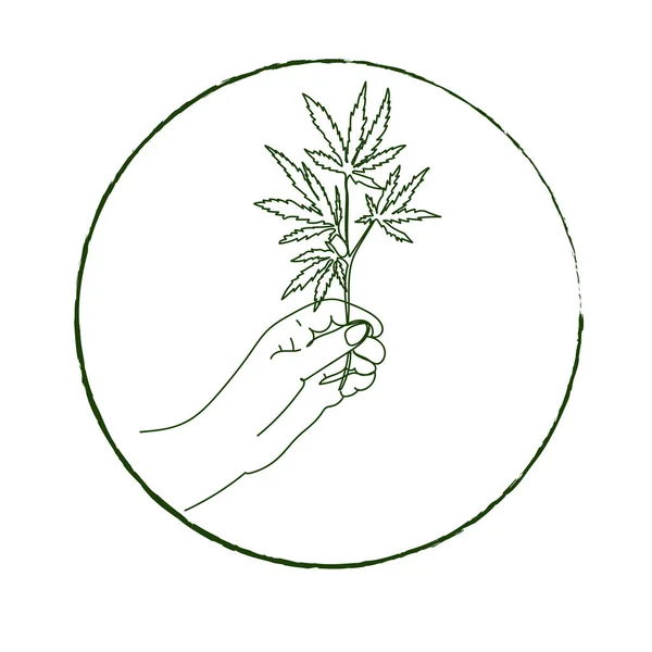 Medyczna marihuana, konopie. Kobiece ręce trzymające konopie indyjskie.Ilustracja wektora — Wektor stockowy