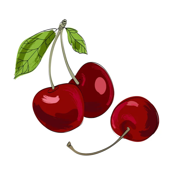 Cherry Cartoon skizziert isolierte Vektorillustration. Vektorgrafiken. Künstlerische Gestaltung natürlicher Banner. — Stockvektor