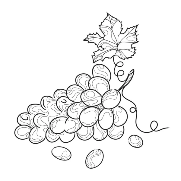 Grape Bunch Vector Illustration Abstract Line Art Grapes Black White — 스톡 벡터