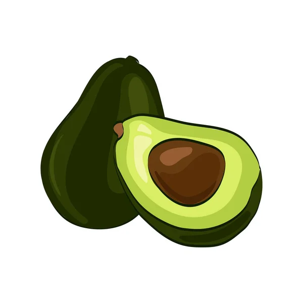 Vektor Einfache Zeichnung Von Avocado Frisches Obst Isoliert Auf Weißem — Stockvektor