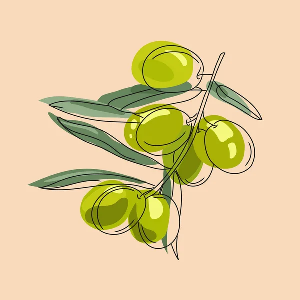 Zielona gałąź oliwna w nowoczesnym stylu na pastelowym tle grafiki wektorowej. — Wektor stockowy