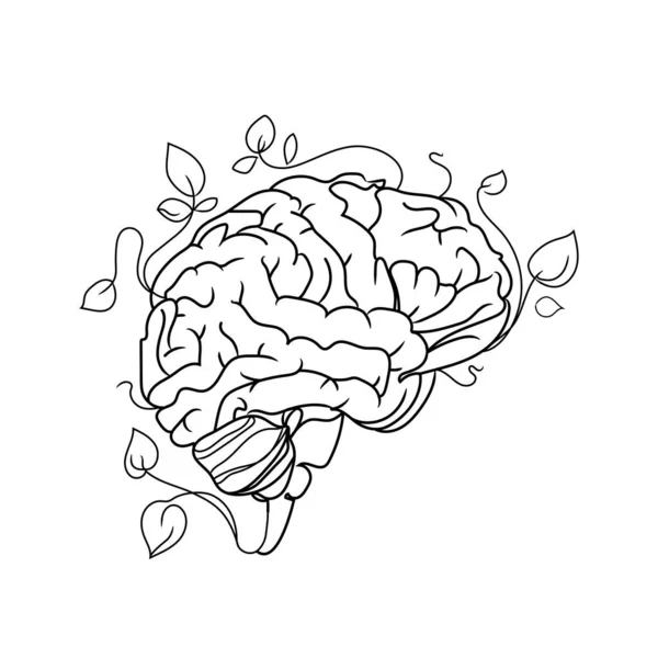 Illustrazione Arte Della Linea Vettoriale Del Cervello Umano Isolata Sfondo — Vettoriale Stock