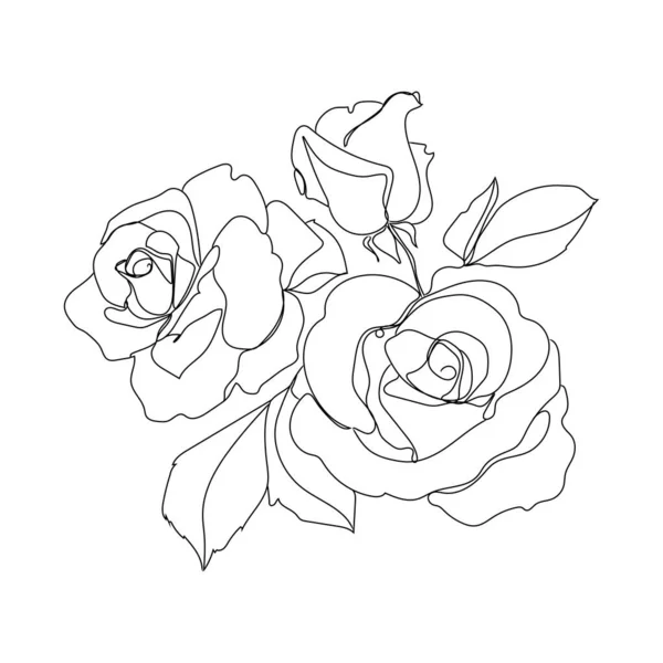 番茄红花芽花序矢量简约的图解隔绝在白色的背景上 三朵玫瑰花连续线条艺术不同的设计 植物设计元素 — 图库矢量图片