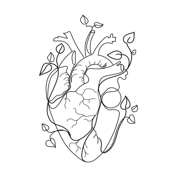 Human Heart Branches Growing Plant Leaves Line Art Vector Illustration — Stok Vektör