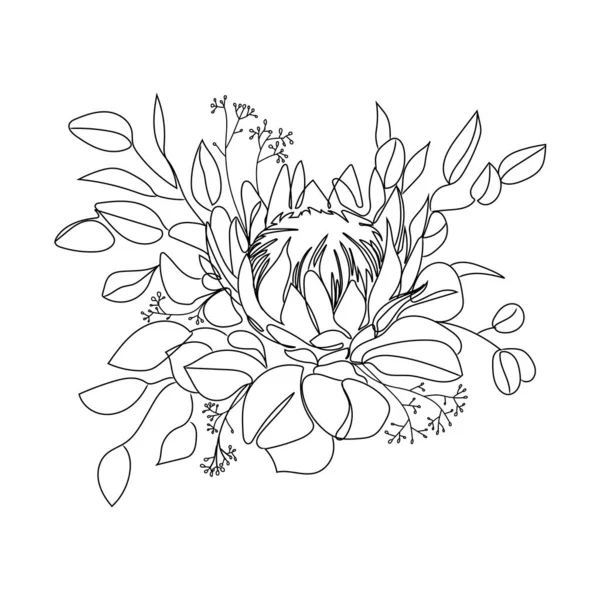 Ramo Con Flores Protea Eucalipto Hojas Ilustración Vectores Arte Línea — Vector de stock