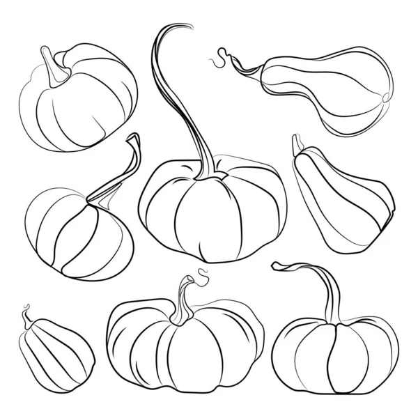 Autumn Pumpkin Black Line Drawing Icon Set Vector Illustrationon White — 스톡 벡터