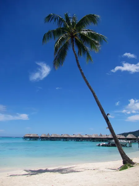 Overwater bungalow — Stock Photo, Image