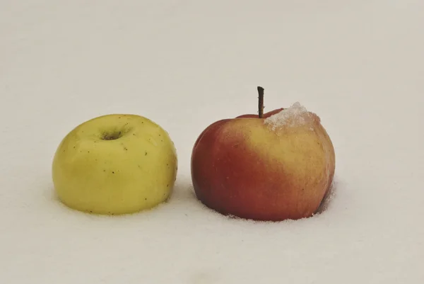 Красное и желтое яблоко на снегу . — стоковое фото