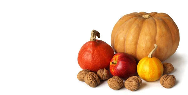 Kürbisse Verschiedenen Größen Äpfel Und Nüsse — Stockfoto