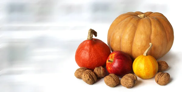 Kürbisse Verschiedenen Größen Äpfel Und Nüsse — Stockfoto