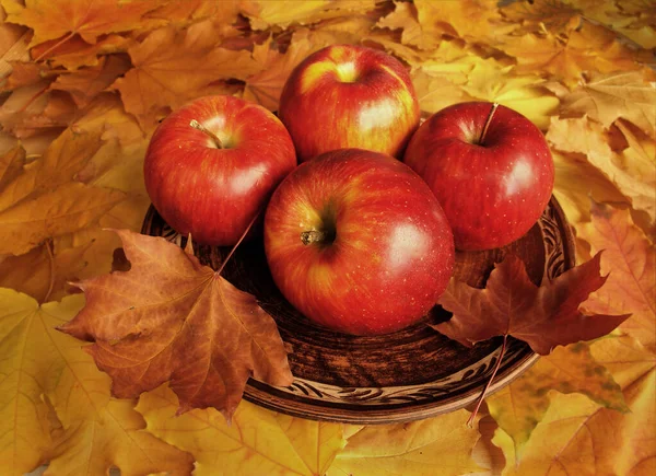 落ち葉を背景にりんごプレート — ストック写真