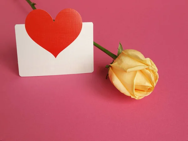 Greeting Card Rose Purple Background — Stock Photo, Image