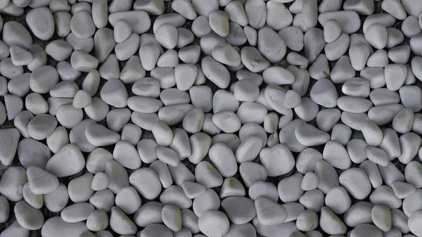 Fondo Forma Pequeñas Piedras Blancas Lisas — Foto de Stock