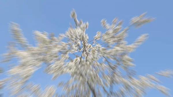 Borrão Padrão Abstrato Com Lubrificação Fundo Azul — Fotografia de Stock