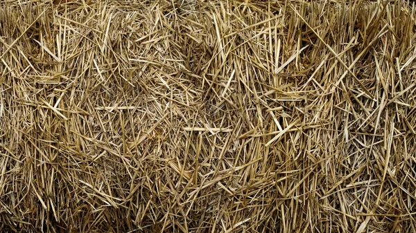 Abstract Background Form Layer Hay — Photo