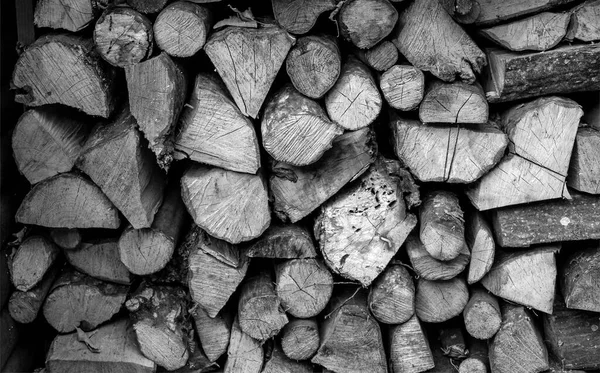 Lieferung Und Lagerung Von Brennholz Für Ofen Und Kamin — Stockfoto