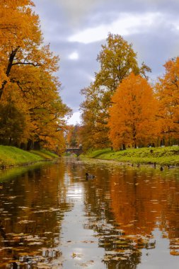 Alexander Park sonbaharda. Parlak renkli yapraklarla