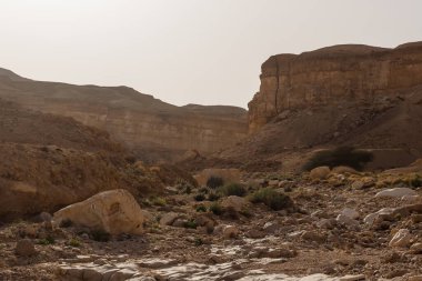 İsrail 'deki Yahudi Çölü' nde kayalık bir vadiden geçen yol.