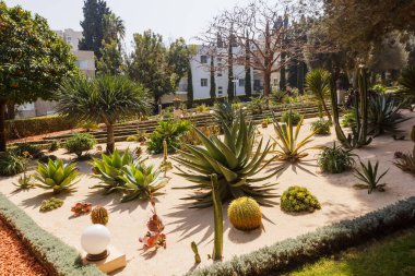 Bahçe düzenleme ve Bahai Bahçesi 'ndeki çeşitli bitkiler.