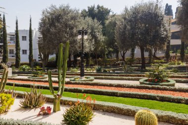 Bahçe düzenleme ve Bahai Bahçesi 'ndeki çeşitli bitkiler.
