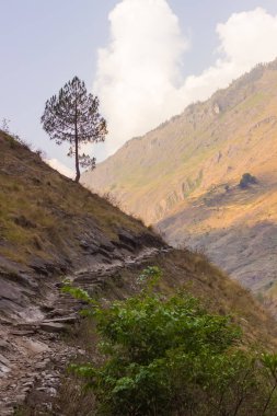 Dağların yamaçlarına ve Himalayalar 'ın, Manaslu bölgesindeki patikalara bakın.