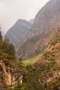 Manaslu bölgesinde Himalayalar 'da bir dağ vadisi manzarası
