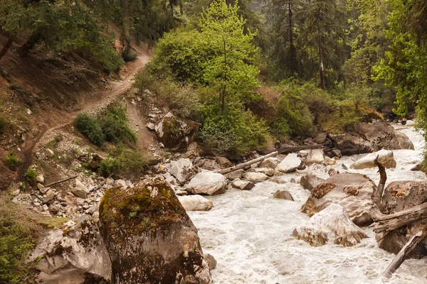 Himalayalar 'daki patika ve dağ nehri manzarası