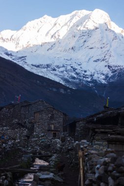 Manaslu vadisindeki taş evler Himalayalar 'daki dağların arka planına karşı.