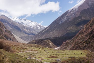 Himalayalar 'ın Manaslu bölgesindeki vadi ve dağ tepeleri manzaralı.