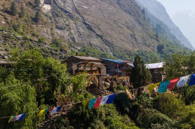 Himalayalar 'da bir yamaçtaki evler, bayraklarla süslenmiş.